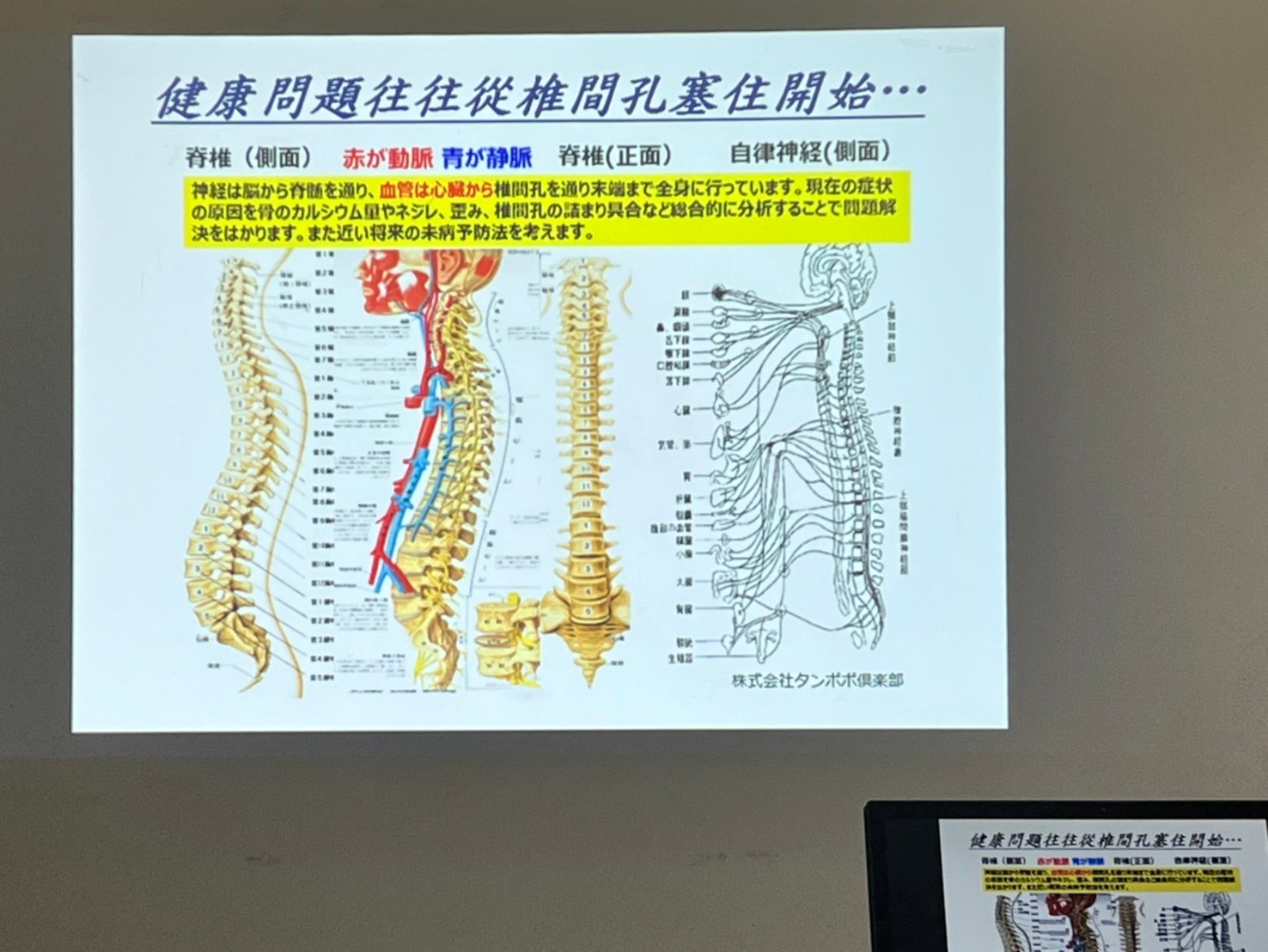 113年9月-健骨防鬆新觀念